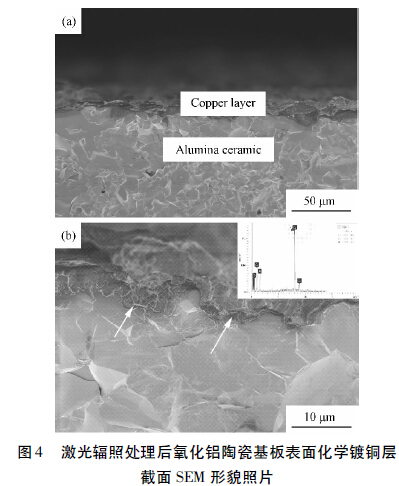 圖4 激光輻照處理后氧化鋁陶瓷基板表面化學鍍銅層截面SEM 形貌照片