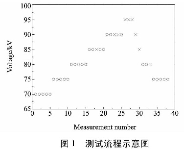 圖1  測(cè)試流程示意圖