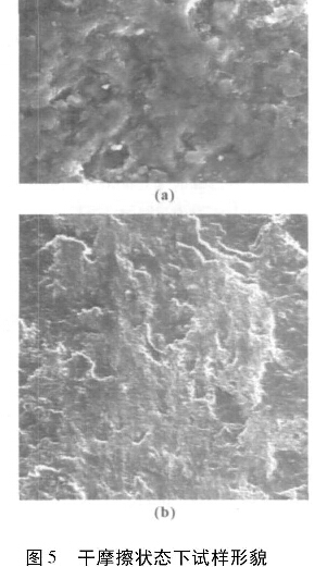 圖5  干摩擦狀態下試樣形貌