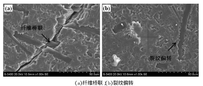 圖4 摻入復(fù)合添加劑的陶瓷基復(fù)合材料的顯微組織